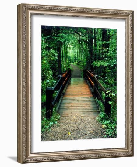 Wooden Bridge, Sundell, Michigan ‘90-Monte Nagler-Framed Photographic Print