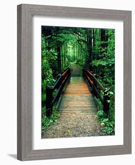 Wooden Bridge, Sundell, Michigan ‘90-Monte Nagler-Framed Photographic Print