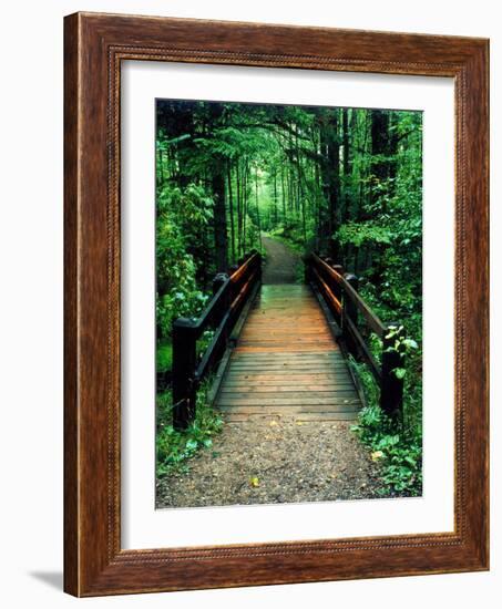 Wooden Bridge, Sundell, Michigan ‘90-Monte Nagler-Framed Photographic Print