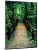 Wooden Bridge, Sundell, Michigan ‘90-Monte Nagler-Mounted Photographic Print