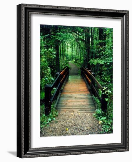 Wooden Bridge, Sundell, Michigan ‘90-Monte Nagler-Framed Photographic Print