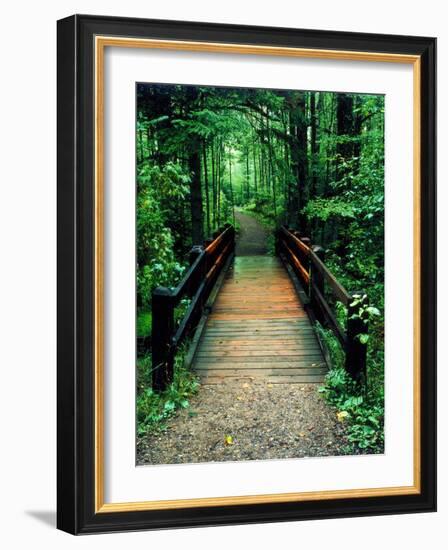 Wooden Bridge, Sundell, Michigan ‘90-Monte Nagler-Framed Photographic Print
