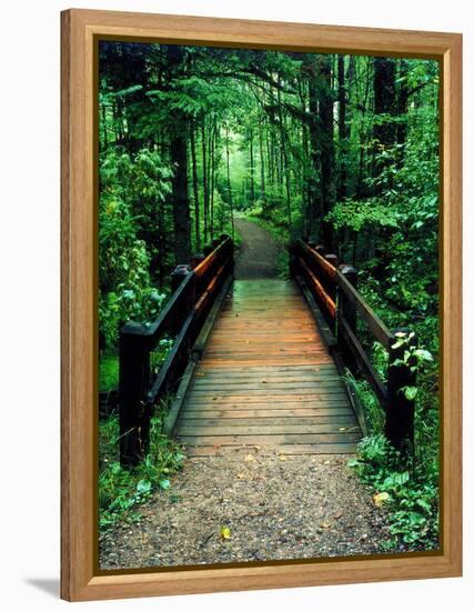 Wooden Bridge, Sundell, Michigan ‘90-Monte Nagler-Framed Premier Image Canvas