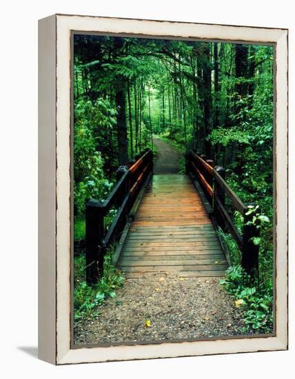 Wooden Bridge, Sundell, Michigan ‘90-Monte Nagler-Framed Premier Image Canvas