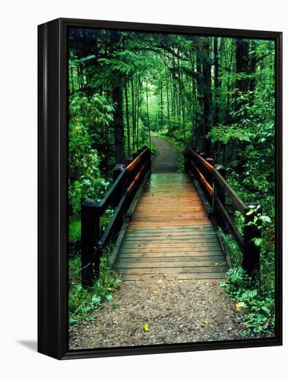 Wooden Bridge, Sundell, Michigan ‘90-Monte Nagler-Framed Premier Image Canvas