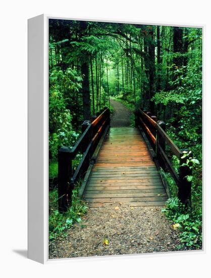 Wooden Bridge, Sundell, Michigan ‘90-Monte Nagler-Framed Premier Image Canvas