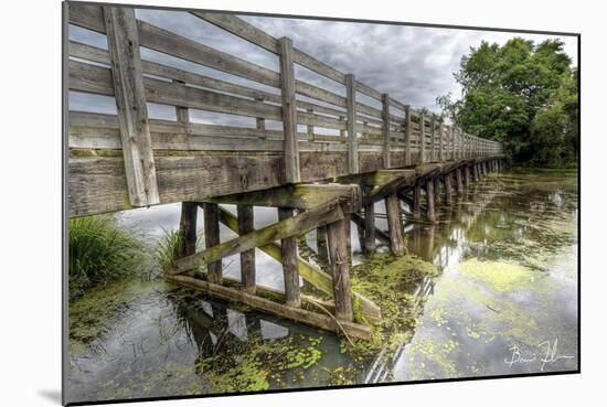 Wooden Bridge-5fishcreative-Mounted Giclee Print