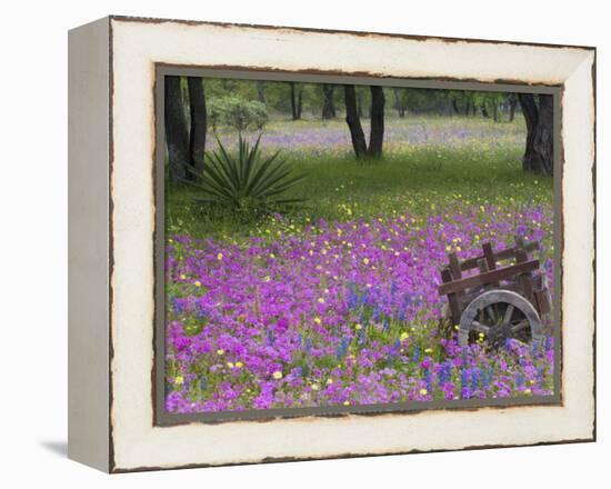 Wooden Cart in Field of Phlox, Blue Bonnets, and Oak Trees, Near Devine, Texas, USA-Darrell Gulin-Framed Premier Image Canvas