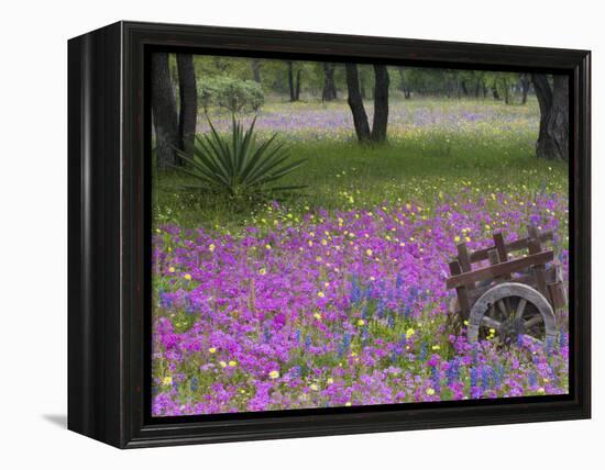 Wooden Cart in Field of Phlox, Blue Bonnets, and Oak Trees, Near Devine, Texas, USA-Darrell Gulin-Framed Premier Image Canvas