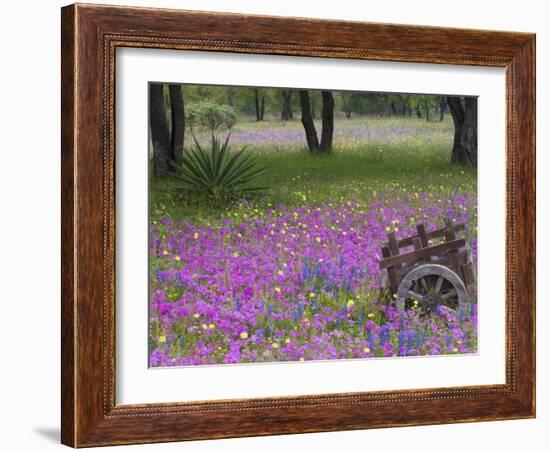 Wooden Cart in Field of Phlox, Blue Bonnets, and Oak Trees, Near Devine, Texas, USA-Darrell Gulin-Framed Photographic Print