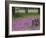 Wooden Cart in Field of Phlox, Blue Bonnets, and Oak Trees, Near Devine, Texas, USA-Darrell Gulin-Framed Photographic Print