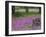 Wooden Cart in Field of Phlox, Blue Bonnets, and Oak Trees, Near Devine, Texas, USA-Darrell Gulin-Framed Photographic Print