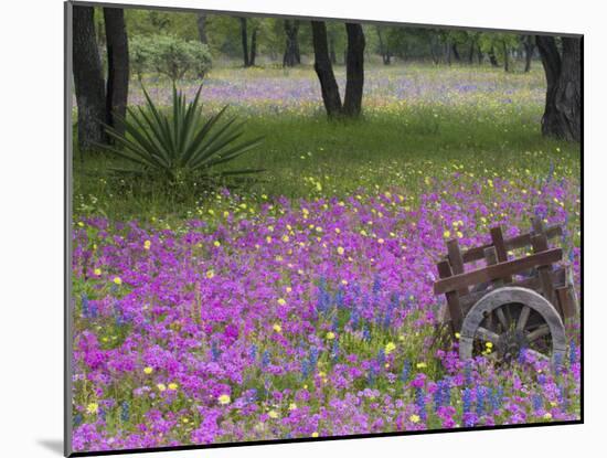 Wooden Cart in Field of Phlox, Blue Bonnets, and Oak Trees, Near Devine, Texas, USA-Darrell Gulin-Mounted Photographic Print