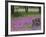 Wooden Cart in Field of Phlox, Blue Bonnets, and Oak Trees, Near Devine, Texas, USA-Darrell Gulin-Framed Photographic Print