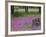 Wooden Cart in Field of Phlox, Blue Bonnets, and Oak Trees, Near Devine, Texas, USA-Darrell Gulin-Framed Photographic Print