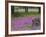 Wooden Cart in Field of Phlox, Blue Bonnets, and Oak Trees, Near Devine, Texas, USA-Darrell Gulin-Framed Photographic Print