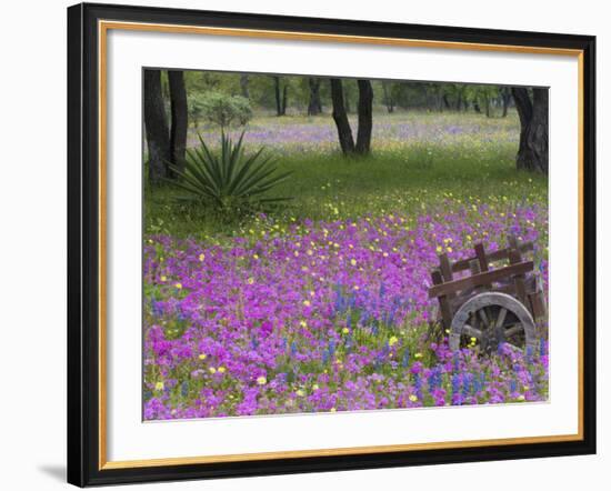 Wooden Cart in Field of Phlox, Blue Bonnets, and Oak Trees, Near Devine, Texas, USA-Darrell Gulin-Framed Photographic Print