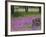 Wooden Cart in Field of Phlox, Blue Bonnets, and Oak Trees, Near Devine, Texas, USA-Darrell Gulin-Framed Photographic Print