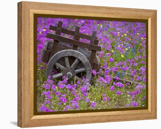 Wooden Cart in Field of Phlox, Blue Bonnets, and Oak Trees, Near Devine, Texas, USA-Darrell Gulin-Framed Premier Image Canvas