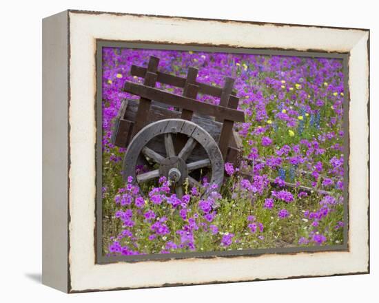 Wooden Cart in Field of Phlox, Blue Bonnets, and Oak Trees, Near Devine, Texas, USA-Darrell Gulin-Framed Premier Image Canvas