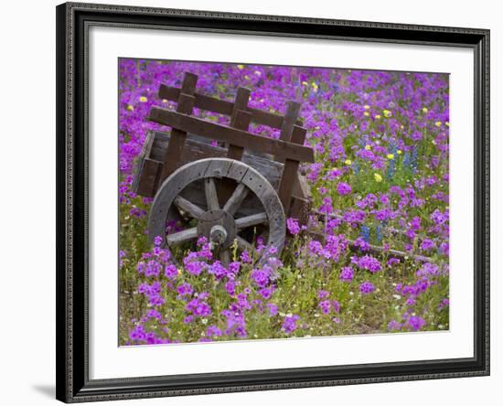 Wooden Cart in Field of Phlox, Blue Bonnets, and Oak Trees, Near Devine, Texas, USA-Darrell Gulin-Framed Photographic Print