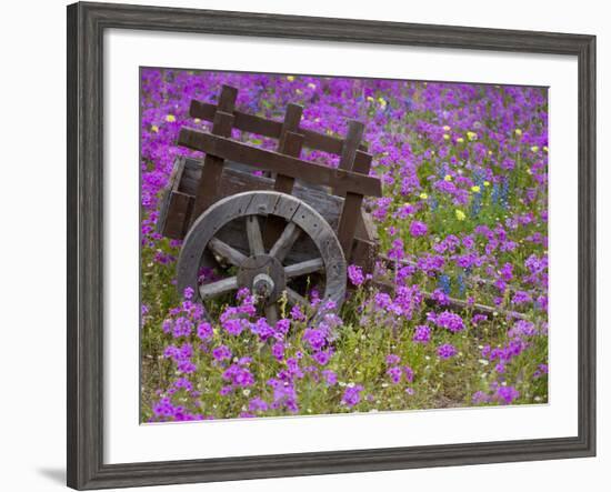 Wooden Cart in Field of Phlox, Blue Bonnets, and Oak Trees, Near Devine, Texas, USA-Darrell Gulin-Framed Photographic Print