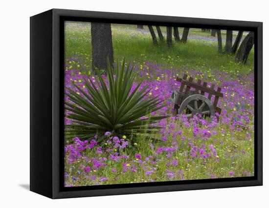 Wooden Cart in Field of Phlox, Blue Bonnets, and Oak Trees, Near Devine, Texas, USA-Darrell Gulin-Framed Premier Image Canvas