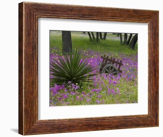 Wooden Cart in Field of Phlox, Blue Bonnets, and Oak Trees, Near Devine, Texas, USA-Darrell Gulin-Framed Photographic Print