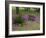 Wooden Cart in Field of Phlox, Blue Bonnets, and Oak Trees, Near Devine, Texas, USA-Darrell Gulin-Framed Photographic Print