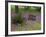 Wooden Cart in Field of Phlox, Blue Bonnets, and Oak Trees, Near Devine, Texas, USA-Darrell Gulin-Framed Photographic Print