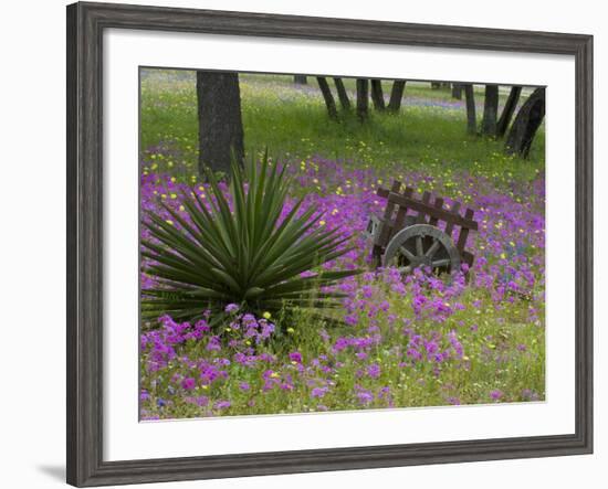 Wooden Cart in Field of Phlox, Blue Bonnets, and Oak Trees, Near Devine, Texas, USA-Darrell Gulin-Framed Photographic Print