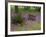 Wooden Cart in Field of Phlox, Blue Bonnets, and Oak Trees, Near Devine, Texas, USA-Darrell Gulin-Framed Photographic Print