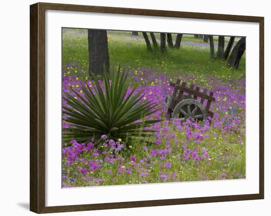 Wooden Cart in Field of Phlox, Blue Bonnets, and Oak Trees, Near Devine, Texas, USA-Darrell Gulin-Framed Photographic Print