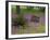 Wooden Cart in Field of Phlox, Blue Bonnets, and Oak Trees, Near Devine, Texas, USA-Darrell Gulin-Framed Photographic Print