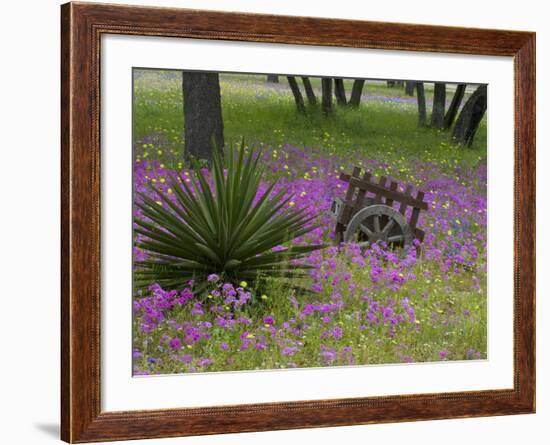 Wooden Cart in Field of Phlox, Blue Bonnets, and Oak Trees, Near Devine, Texas, USA-Darrell Gulin-Framed Photographic Print