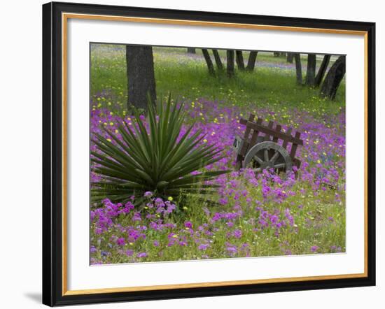 Wooden Cart in Field of Phlox, Blue Bonnets, and Oak Trees, Near Devine, Texas, USA-Darrell Gulin-Framed Photographic Print