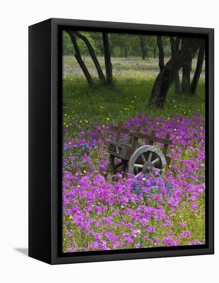 Wooden Cart in Field of Phlox, Blue Bonnets, and Oak Trees, Near Devine, Texas, USA-Darrell Gulin-Framed Premier Image Canvas