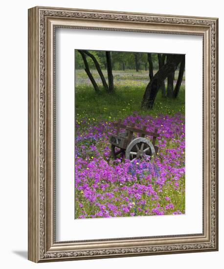 Wooden Cart in Field of Phlox, Blue Bonnets, and Oak Trees, Near Devine, Texas, USA-Darrell Gulin-Framed Photographic Print