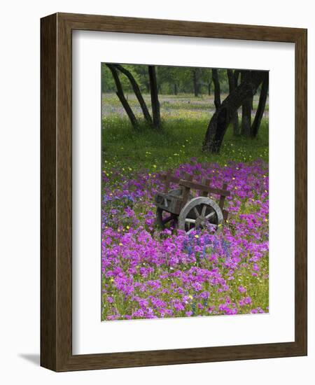 Wooden Cart in Field of Phlox, Blue Bonnets, and Oak Trees, Near Devine, Texas, USA-Darrell Gulin-Framed Photographic Print