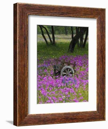 Wooden Cart in Field of Phlox, Blue Bonnets, and Oak Trees, Near Devine, Texas, USA-Darrell Gulin-Framed Photographic Print