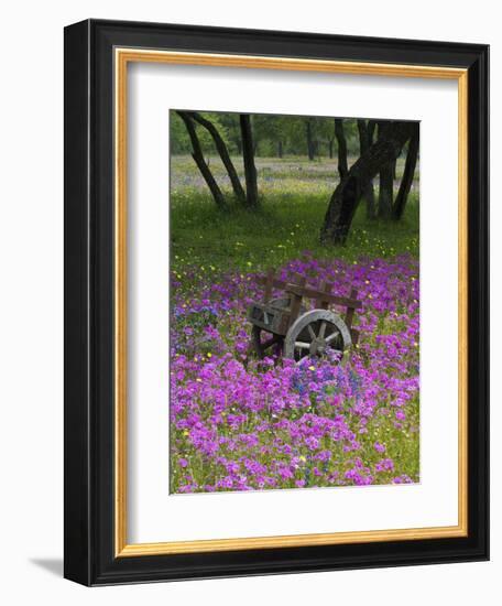 Wooden Cart in Field of Phlox, Blue Bonnets, and Oak Trees, Near Devine, Texas, USA-Darrell Gulin-Framed Photographic Print