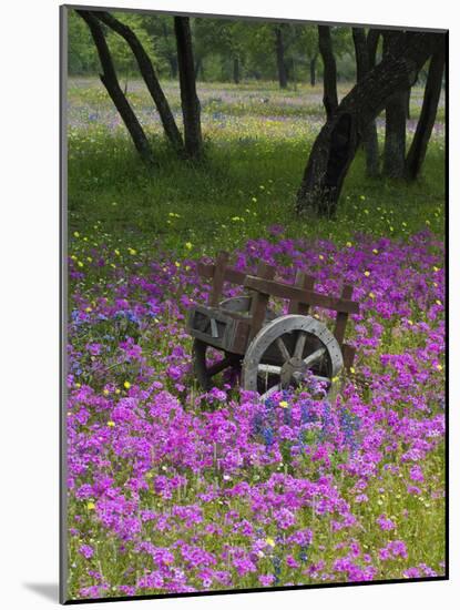 Wooden Cart in Field of Phlox, Blue Bonnets, and Oak Trees, Near Devine, Texas, USA-Darrell Gulin-Mounted Photographic Print