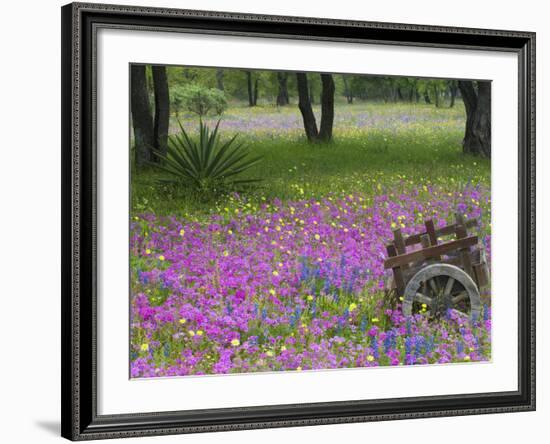 Wooden Cart in Field of Phlox, Blue Bonnets, and Oak Trees, Near Devine, Texas, USA-Darrell Gulin-Framed Photographic Print