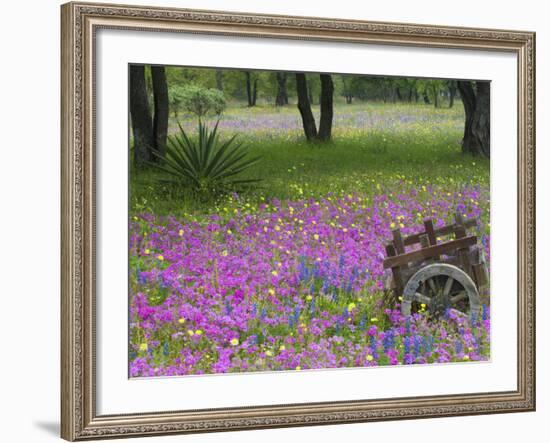 Wooden Cart in Field of Phlox, Blue Bonnets, and Oak Trees, Near Devine, Texas, USA-Darrell Gulin-Framed Photographic Print