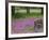 Wooden Cart in Field of Phlox, Blue Bonnets, and Oak Trees, Near Devine, Texas, USA-Darrell Gulin-Framed Photographic Print