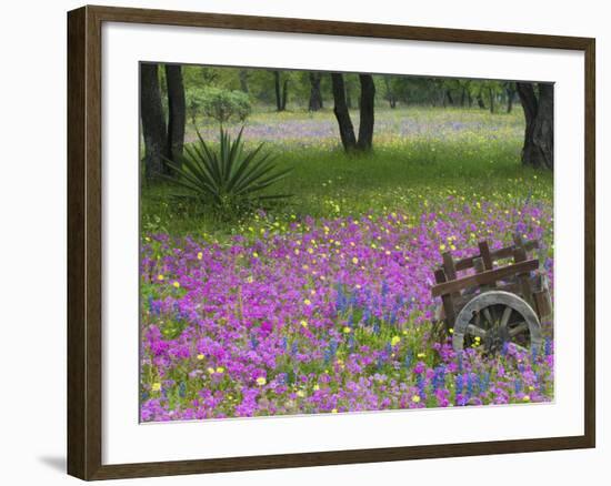 Wooden Cart in Field of Phlox, Blue Bonnets, and Oak Trees, Near Devine, Texas, USA-Darrell Gulin-Framed Photographic Print