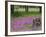 Wooden Cart in Field of Phlox, Blue Bonnets, and Oak Trees, Near Devine, Texas, USA-Darrell Gulin-Framed Photographic Print