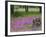 Wooden Cart in Field of Phlox, Blue Bonnets, and Oak Trees, Near Devine, Texas, USA-Darrell Gulin-Framed Photographic Print