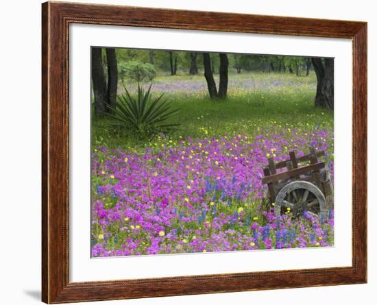 Wooden Cart in Field of Phlox, Blue Bonnets, and Oak Trees, Near Devine, Texas, USA-Darrell Gulin-Framed Photographic Print