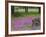 Wooden Cart in Field of Phlox, Blue Bonnets, and Oak Trees, Near Devine, Texas, USA-Darrell Gulin-Framed Photographic Print